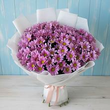 Букет цветов из:  Хризантемы в Кинешме
