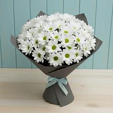 Букет цветов из:  Хризантемы в Кинешме