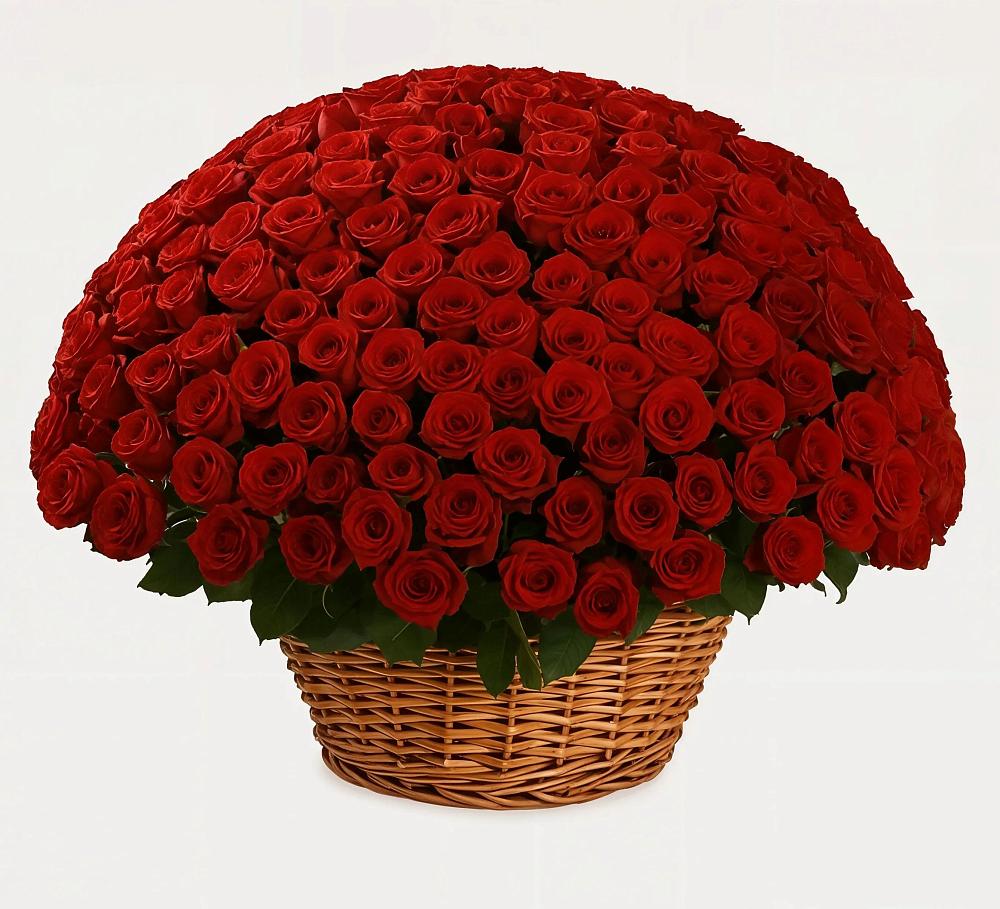 Премиум букет из: Розы в Кинешме