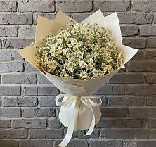 Букет цветов из:  Ромашки в Кинешме