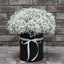 Цветочная композиция из Гипсофила в шляпной коробке #REPLACE_PRED# Кинешме