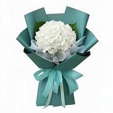 Букет цветов из:  Гортензия в Кинешме